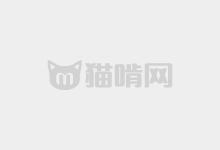 标小智龙珠体：基于摇滚乐One补简 开源永久免费商用艺术字体