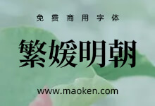 繁媛明朝:基于源样明体开发的简转繁字型 能处理一简对多繁-字帅网