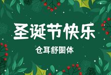 设计素材分享!70款圣诞字体大合集(含中英文)-字帅网