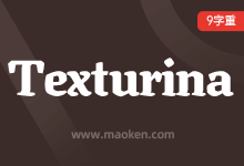 Texturina-字帅网